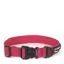 Mountain Paws Extra Tough Dog Collar Medium in Red