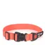 Mountain Paws Extra Tough Dog Collar Medium in Orange