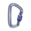 Black Diamond Liteforge Screwgate Carabiner