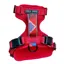 Fell Dog Helvellyn Harness - Red